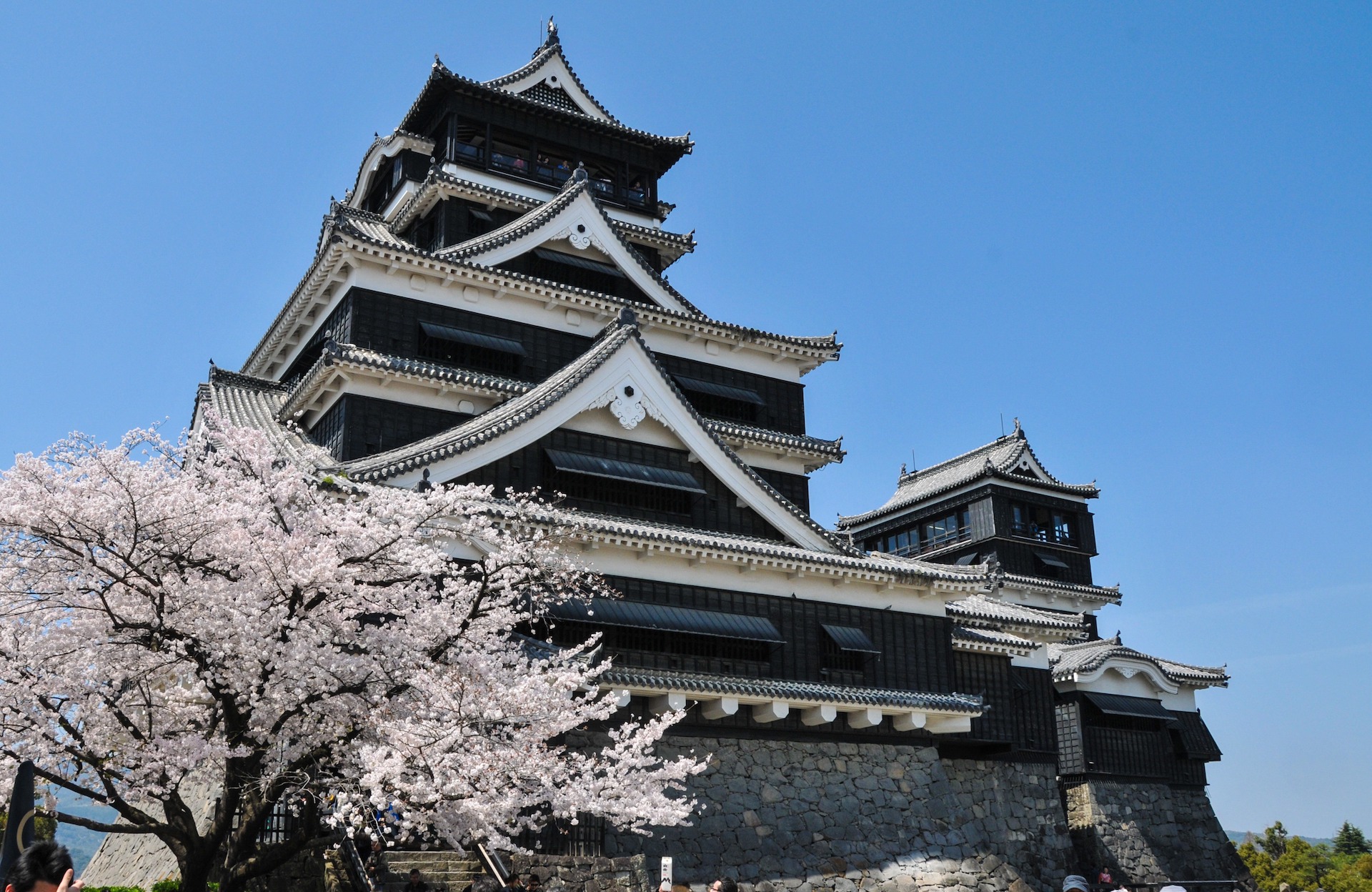 熊本城　Alderasページの背景